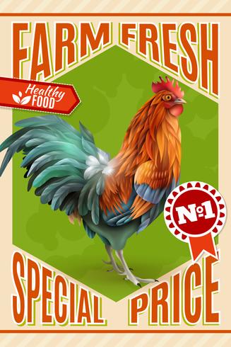 Rooster Farm Sale Offer Vintage Poster vector