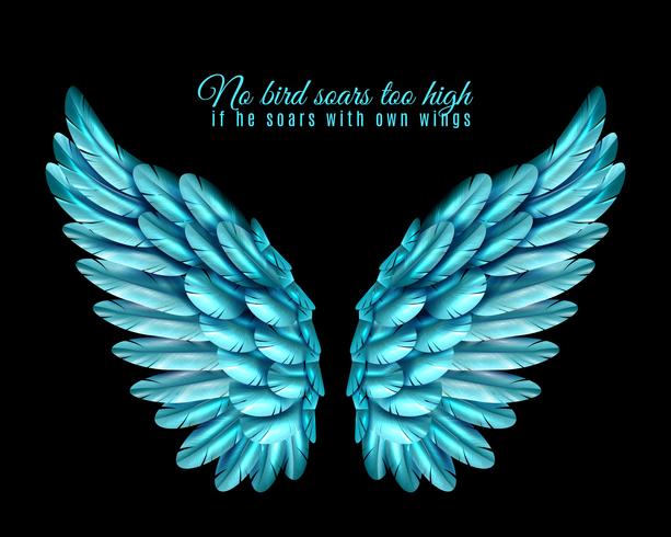 Color Bird Wing Background vector
