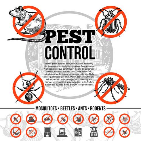 Infografía de Control de Plagas vector