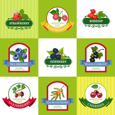 Fresh Berries Labels Flat Icons Set vector