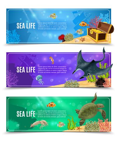 Sea Life Banner Set vector