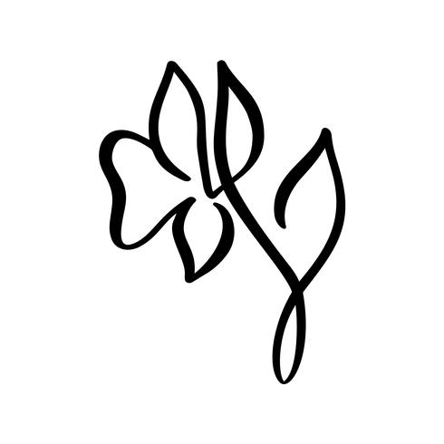 Línea continua mano dibujo caligráfico vector flor concepto logo belleza. Elemento de diseño floral de primavera escandinavo en estilo minimalista. en blanco y negro