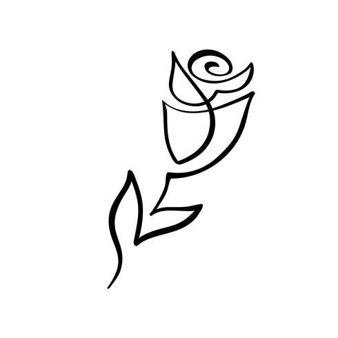 Rose flower concept. Continuous line hand drawing calligraphic vector logo. Scandinavian spring floral design element in minimal style. black and white