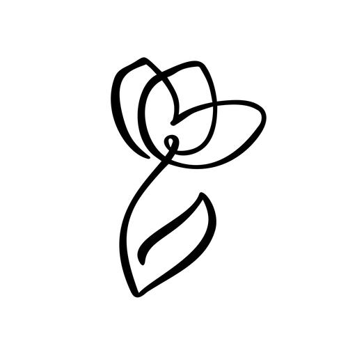 Logotipo de la flor del tulipán. Línea continua mano dibujo concepto de vector caligráfico. Elemento de diseño floral de primavera escandinavo en estilo minimalista. en blanco y negro