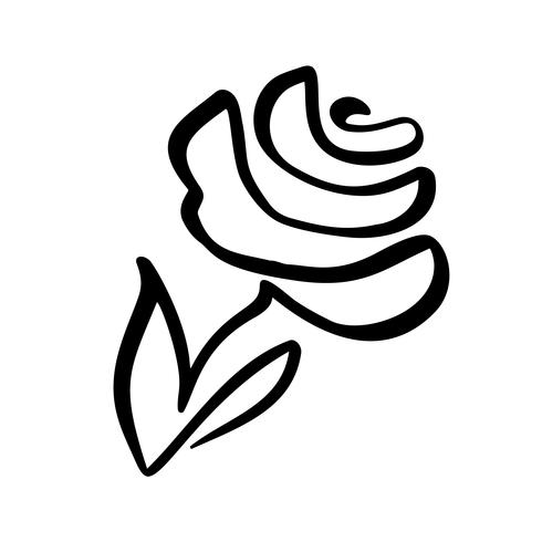 Rose flower concept. Continuous line hand drawing calligraphic vector logo. Scandinavian spring floral design element in minimal style. black and white