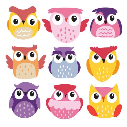 owls character vector design