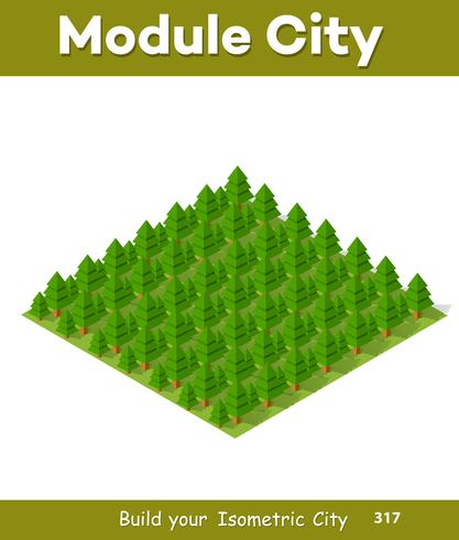 Isometric 3d park with a green vector