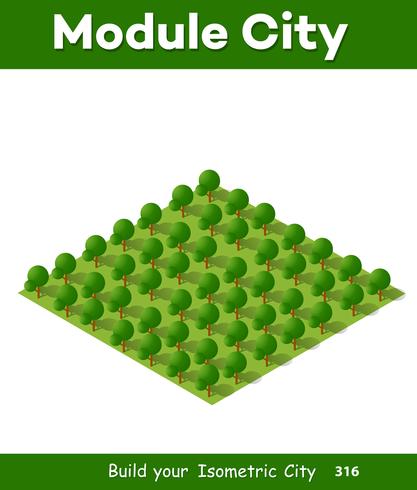 Isometric 3d park with a green vector