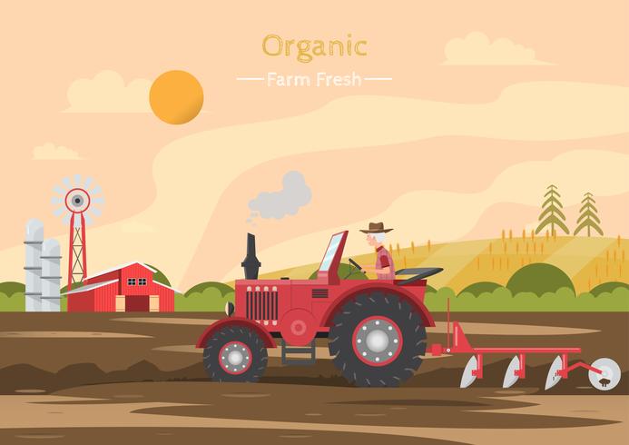 Trabajos agrícolas en un campo con tractor. vector