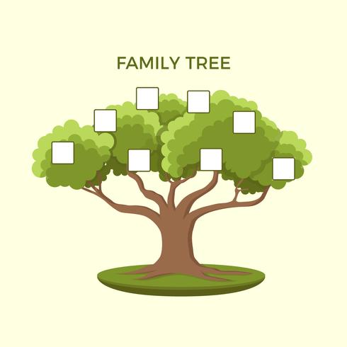 Family Tree Illustration Template  vector