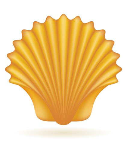 shell sea vector illustration