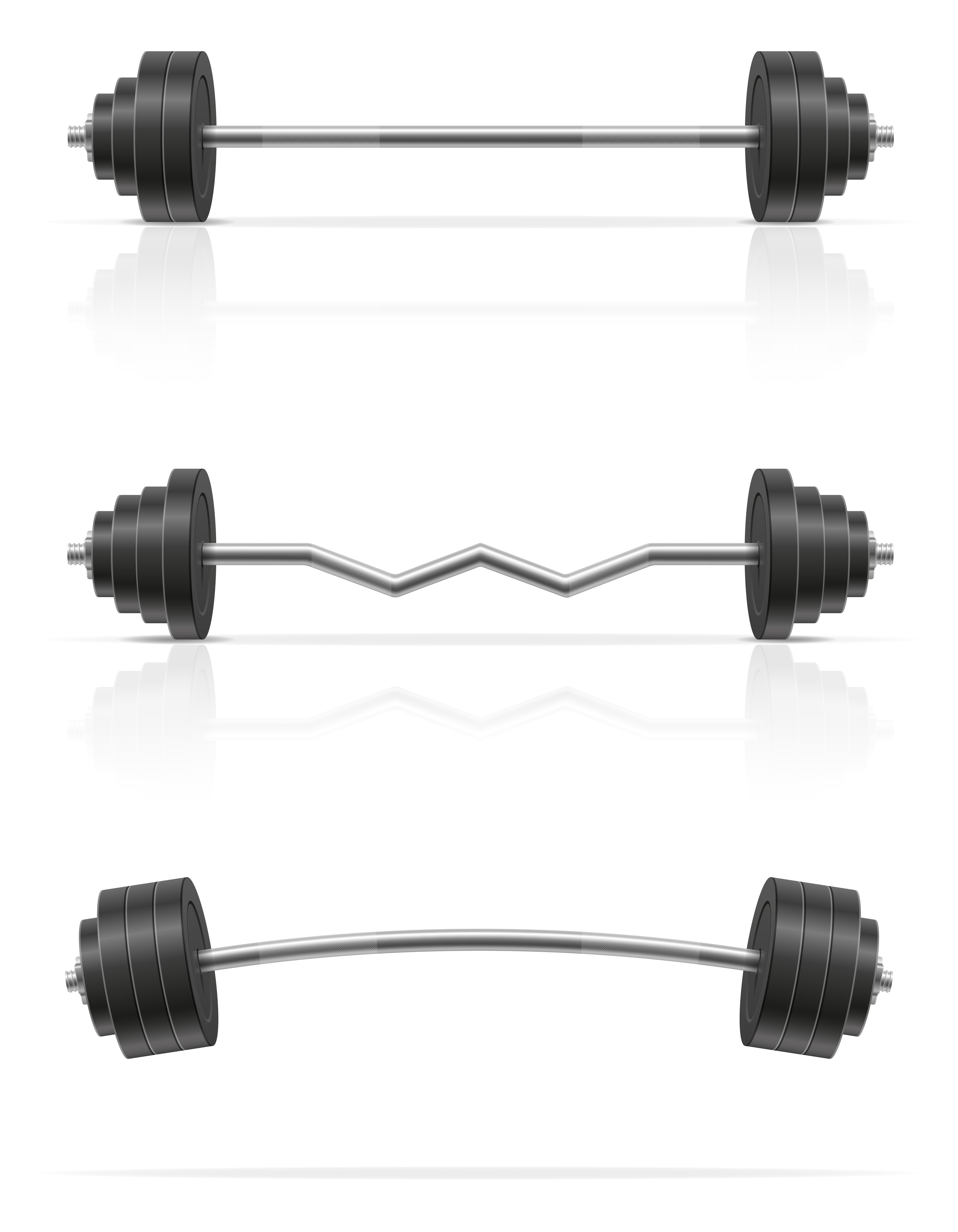 metal barbell for muscle building in gym vector illustration 488720