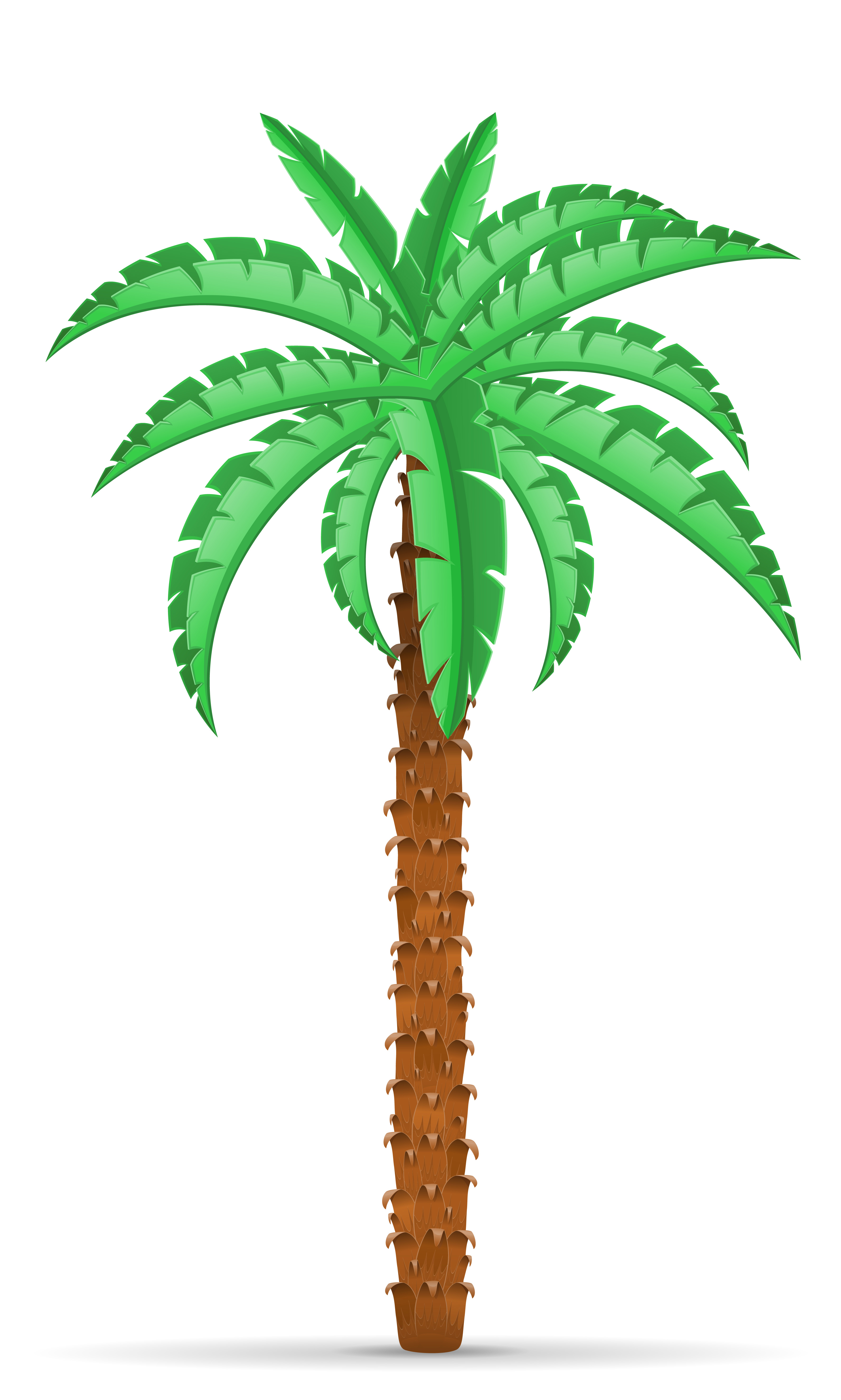 palm tree vector illustration 488741 Vector Art at Vecteezy