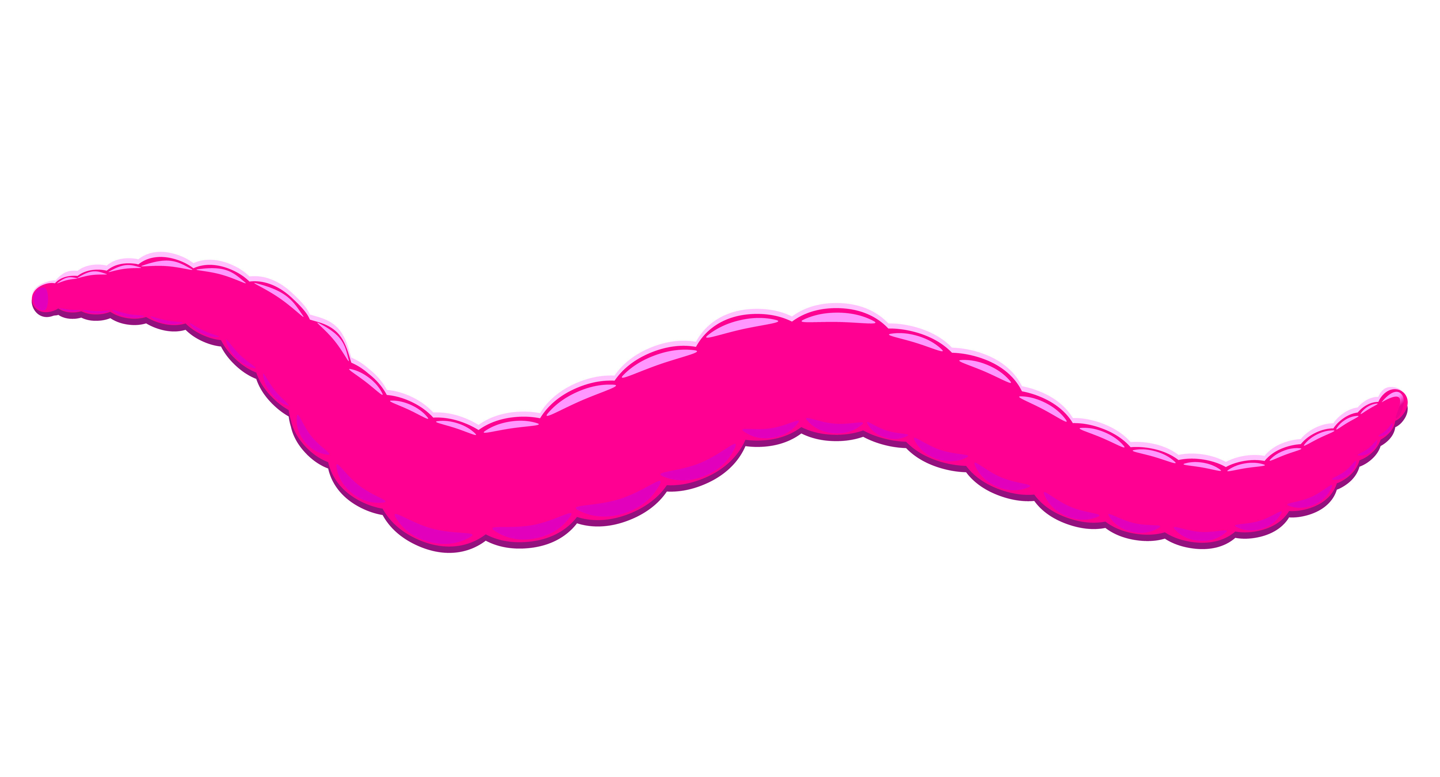 Download worm - Download Free Vectors, Clipart Graphics & Vector Art