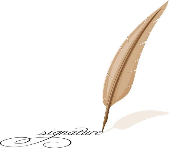 pluma y firma vector