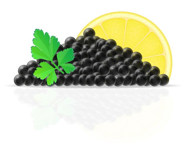 black caviar with lemon and parsley vector illustration