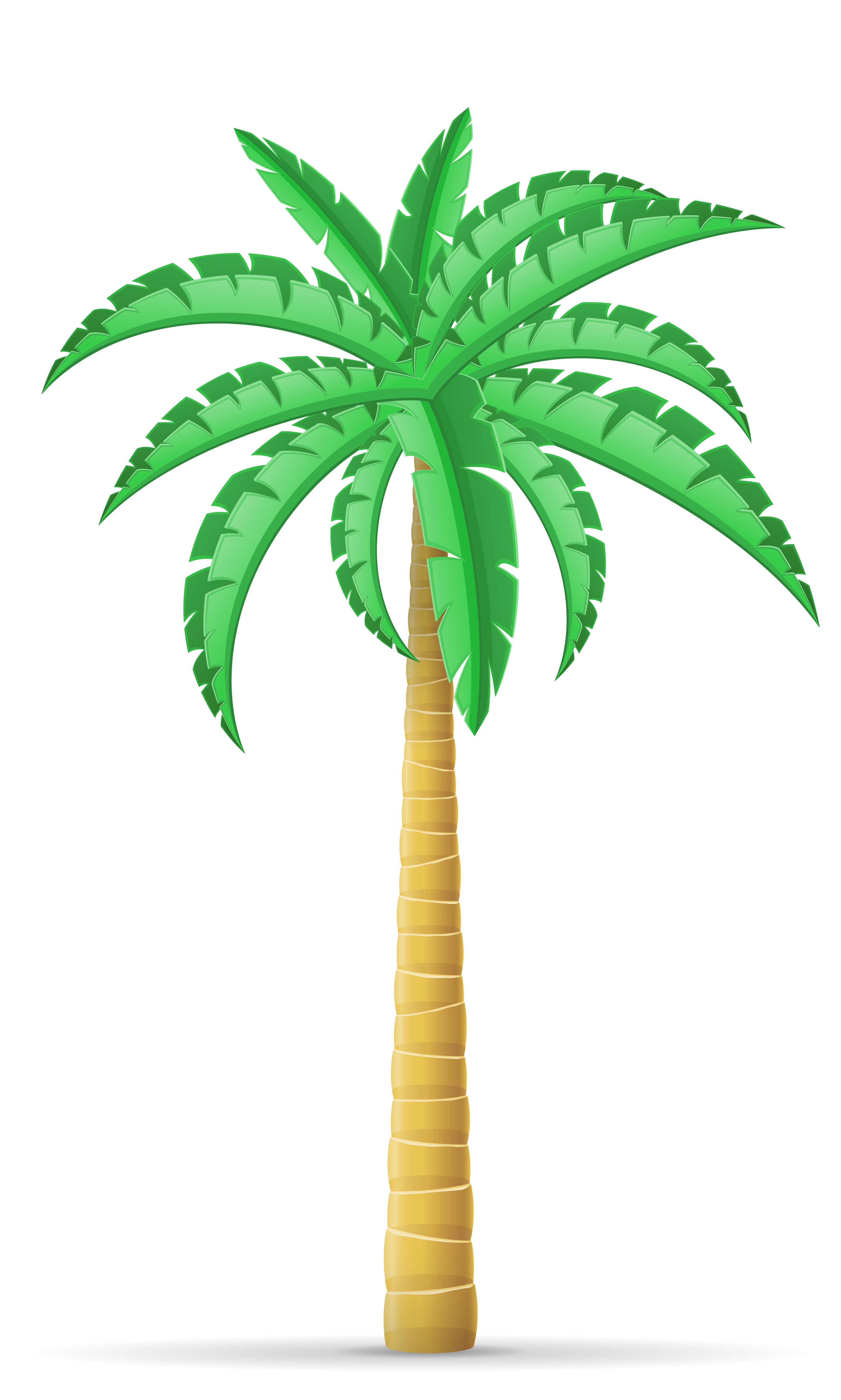 palm  tree vector  illustration 488905 Vector  Art at Vecteezy