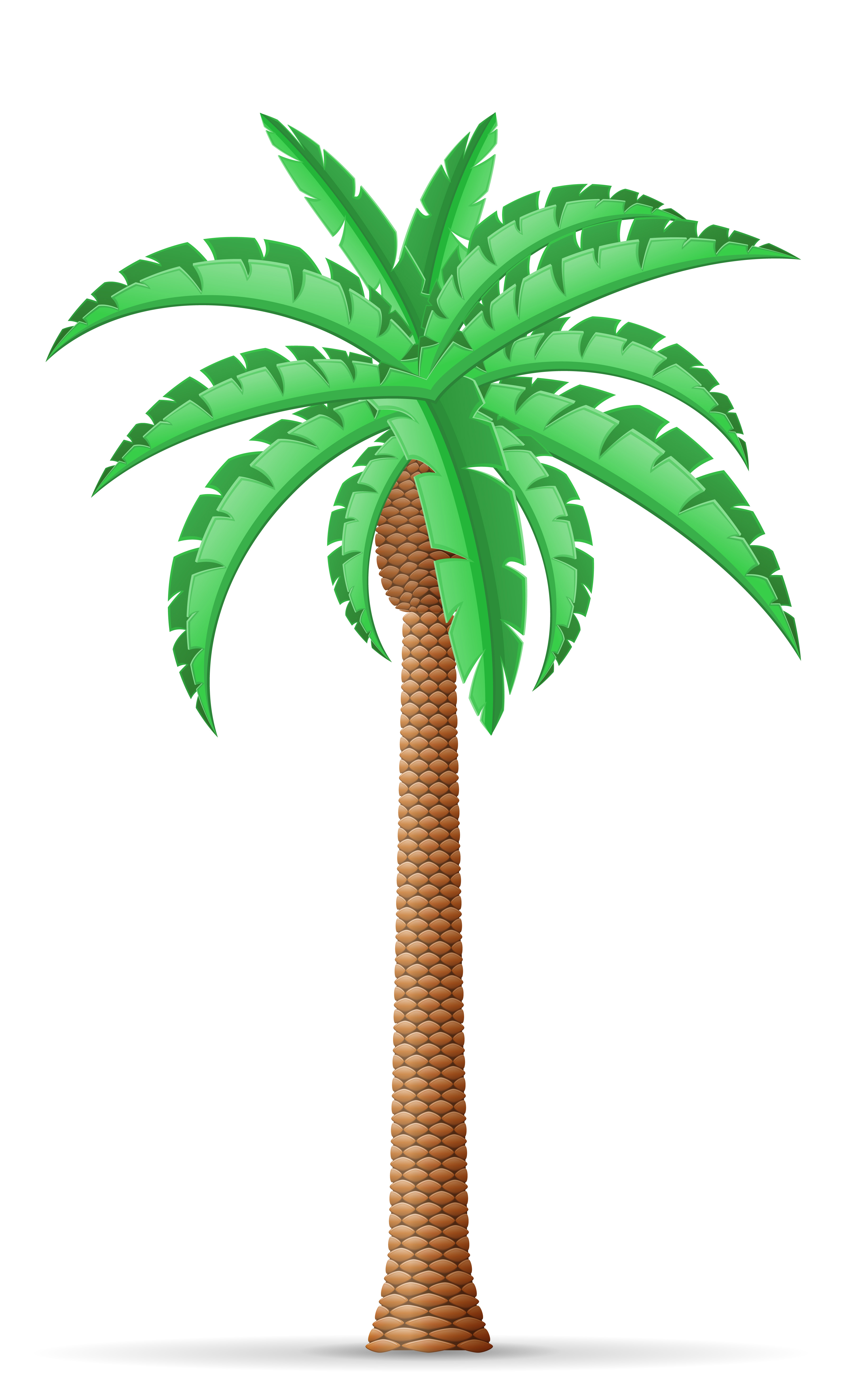 Ejemplo Colorido Del Vector De La Palmera Ilustracion Del Vector Images