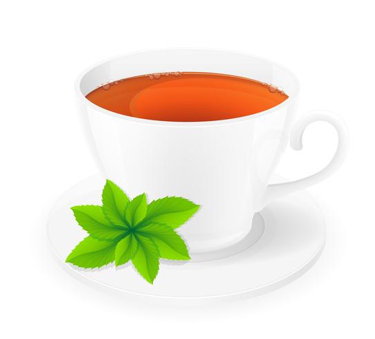 porcelain cup of tea with mint vector illustration