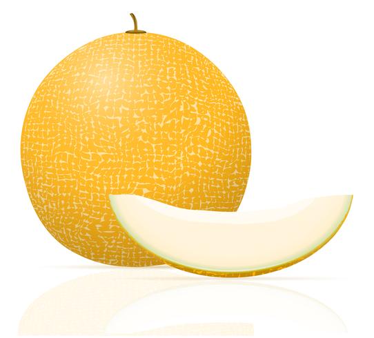 Ilustración de vector jugosa madura de melón