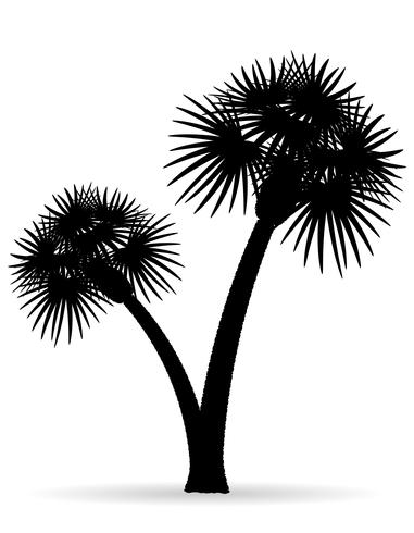 Ilustración de vector de silueta de contorno negro de árbol de Palma