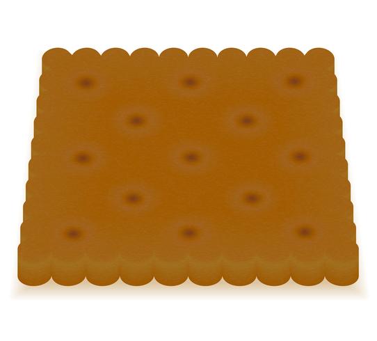 crispy biscuit cookie vector illustration