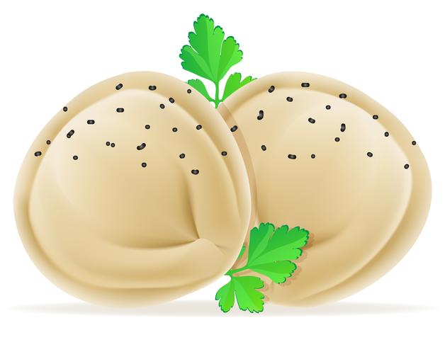 Pelmeni de bolas de masa hervida de masa con un relleno y verdes ilustración vectorial vector