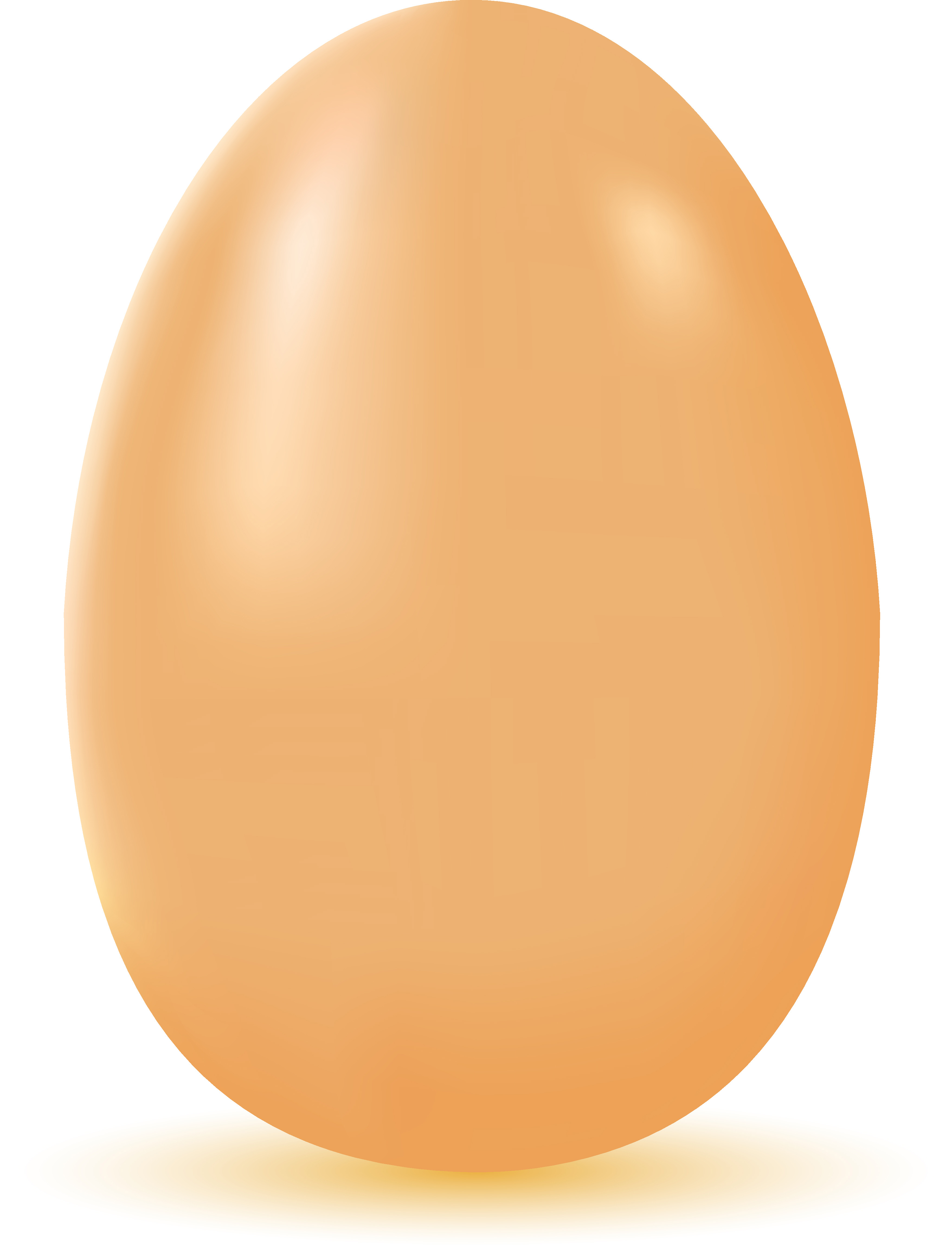 egg 489433 Vector Art at Vecteezy