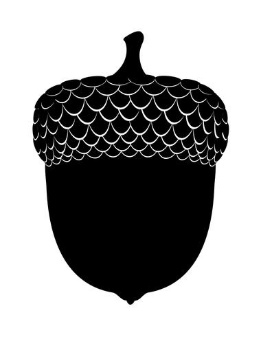 oak acorns black outline silhouette vector illustration