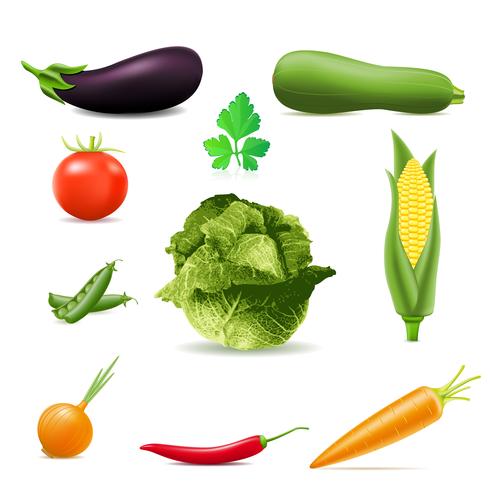 conjunto de iconos verduras vector illustration