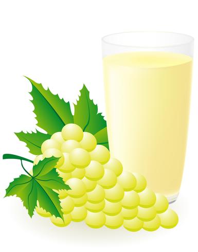 Ilustración de vector de jugo de uva blanca