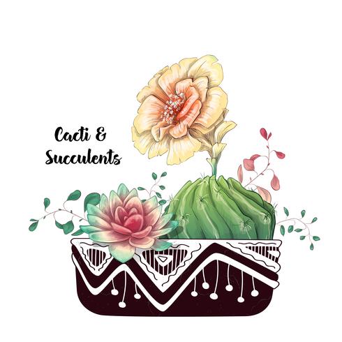 Card with cactuses and succulents set. Plants of desert. vector