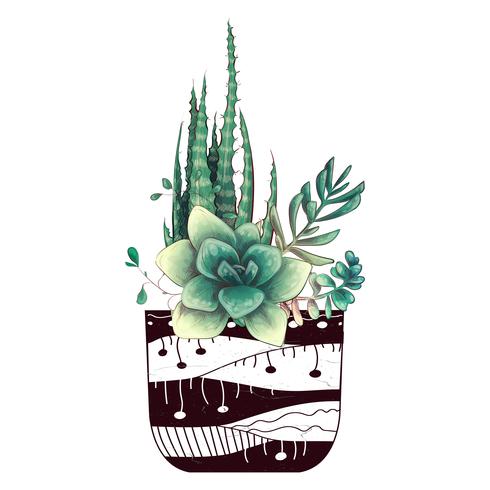 Card with cactuses and succulents set. Plants of desert. vector