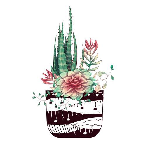 Tarjeta con cactus y conjunto de suculentas. Plantas del desierto. vector