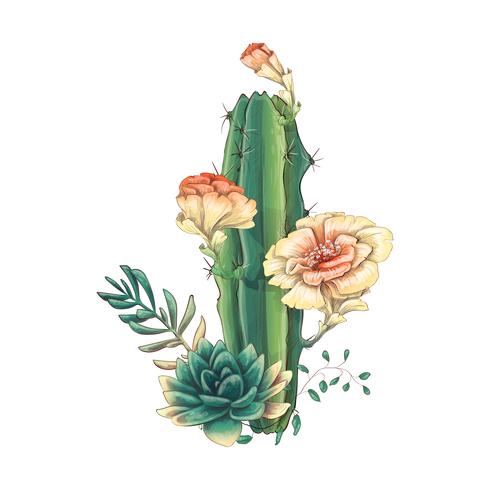 Tarjeta con cactus y conjunto de suculentas. Plantas del desierto. vector