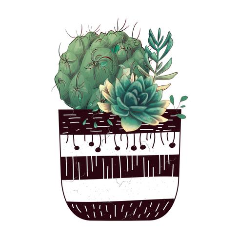 Card with cactuses and succulents set. Plants of desert. vector