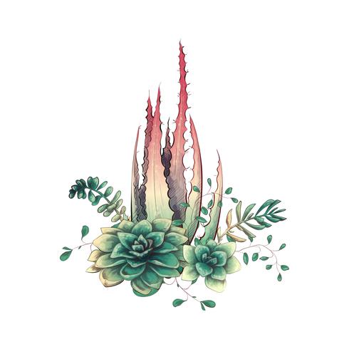 Card with cactuses and succulents set. Plants of desert. vector