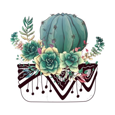 Card with cactuses and succulents set. Plants of desert. vector