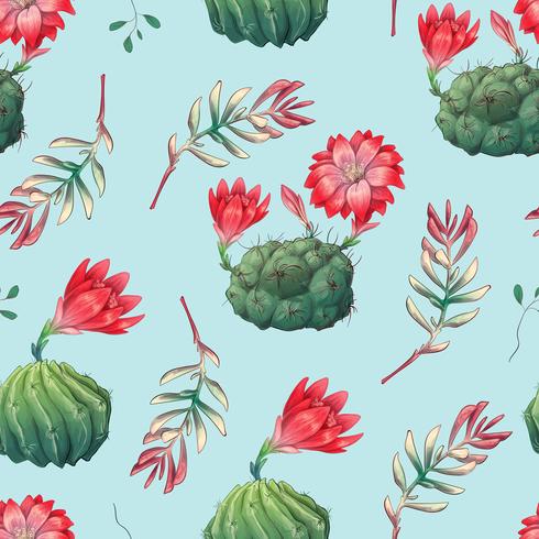 Dibujado a mano patrón sin costuras decorativas con cactus y suculentas vector