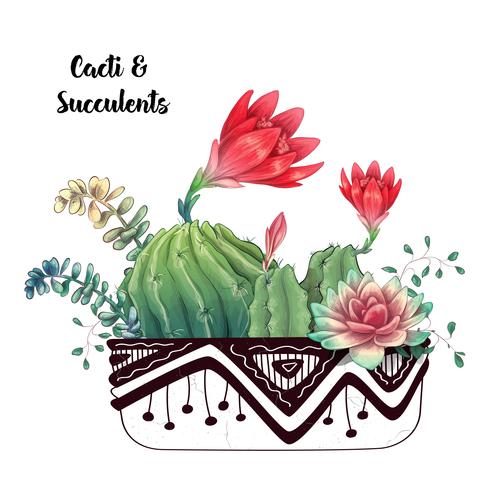 Card with cactuses and succulents set. Plants of desert. vector