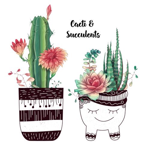 Tarjeta con cactus y conjunto de suculentas. Plantas del desierto. vector