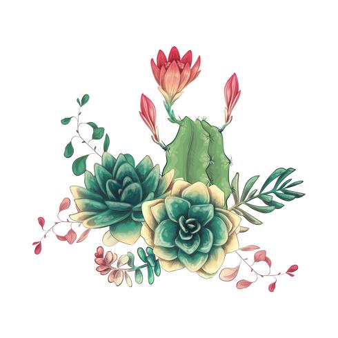 Tarjeta con cactus y conjunto de suculentas. Plantas del desierto. vector