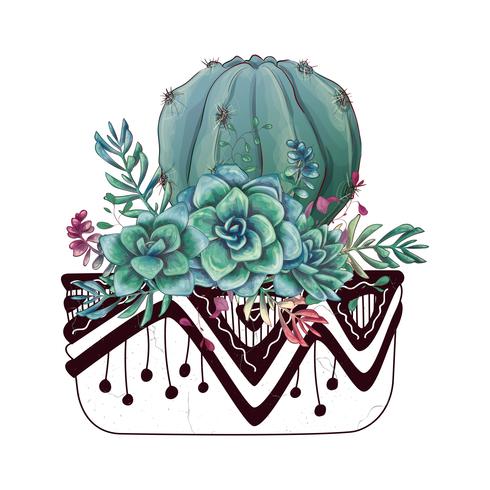 Card with cactuses and succulents set. Plants of desert. vector