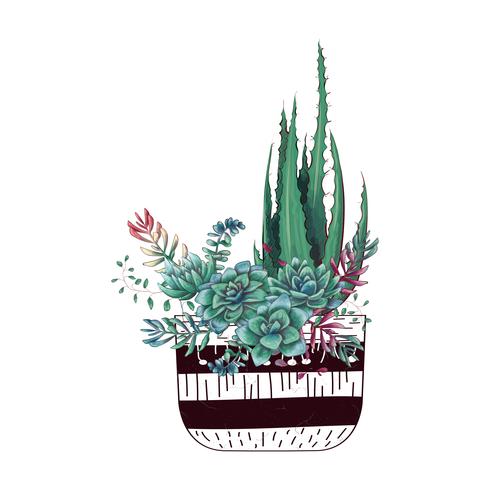 Tarjeta con cactus y conjunto de suculentas. Plantas del desierto. vector