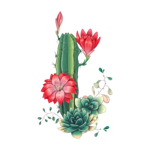 Tarjeta con cactus y conjunto de suculentas. Plantas del desierto. vector