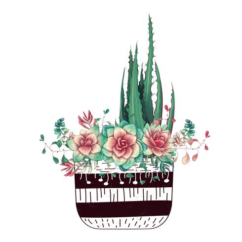 Card with cactuses and succulents set. Plants of desert. vector