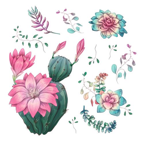 Suculentas. Mano de los cactus dibujada en un fondo blanco. Flores en el desierto. Dibujo vectorial de suculentas. vector