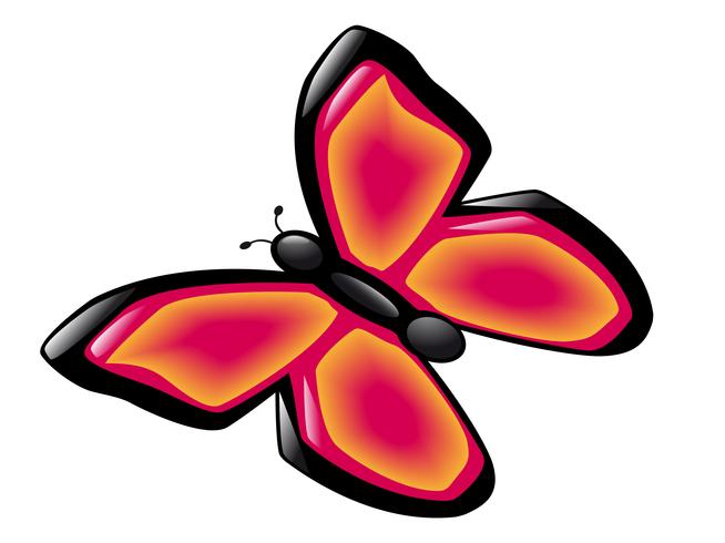 butterfly vector