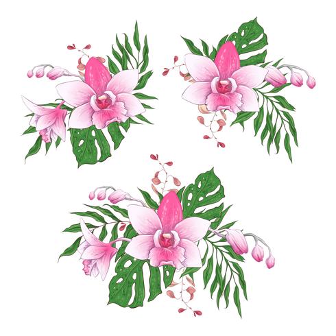 Sistema floral tropical exótico del diseño del vector de las flores de la orquídea del paphiopedilum de los ramos.