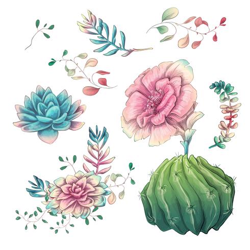 Suculentas. Mano de los cactus dibujada en un fondo blanco. Flores en el desierto. Dibujo vectorial de suculentas. vector